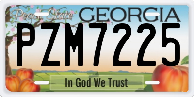 GA license plate PZM7225