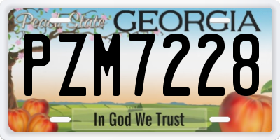 GA license plate PZM7228