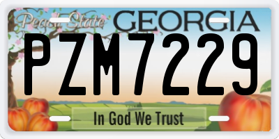 GA license plate PZM7229