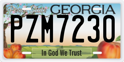 GA license plate PZM7230