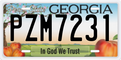 GA license plate PZM7231