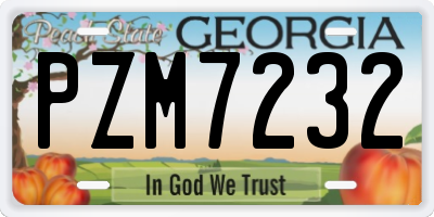 GA license plate PZM7232