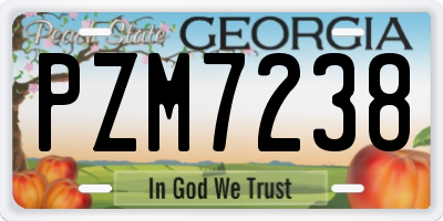 GA license plate PZM7238