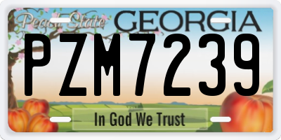 GA license plate PZM7239