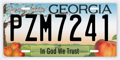 GA license plate PZM7241