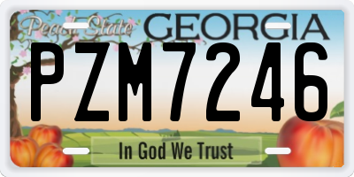 GA license plate PZM7246