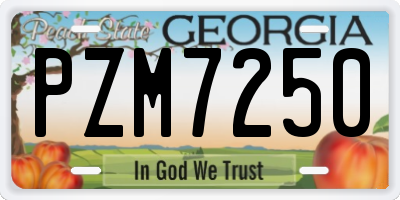 GA license plate PZM7250
