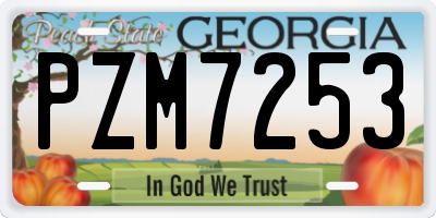 GA license plate PZM7253
