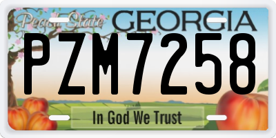 GA license plate PZM7258