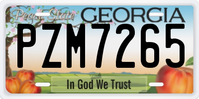 GA license plate PZM7265