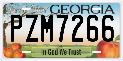 GA license plate PZM7266