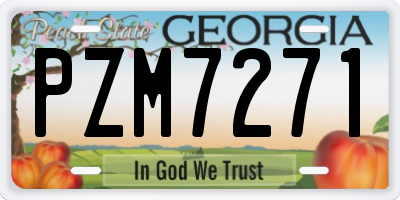 GA license plate PZM7271