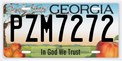 GA license plate PZM7272
