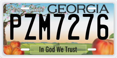 GA license plate PZM7276