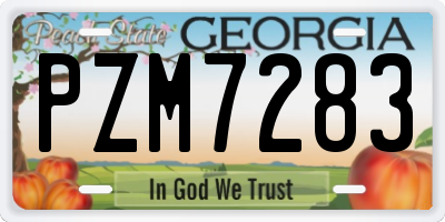GA license plate PZM7283