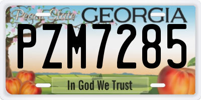 GA license plate PZM7285