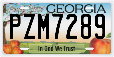 GA license plate PZM7289