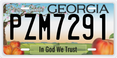 GA license plate PZM7291