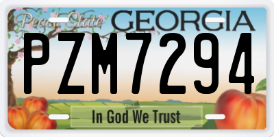GA license plate PZM7294