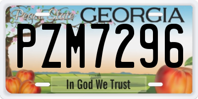 GA license plate PZM7296