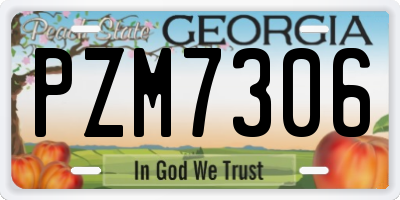 GA license plate PZM7306