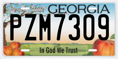 GA license plate PZM7309