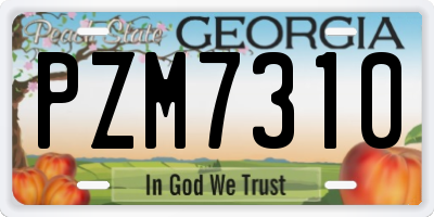 GA license plate PZM7310