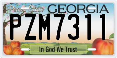 GA license plate PZM7311