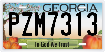 GA license plate PZM7313