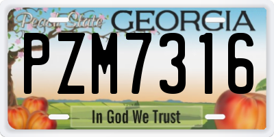 GA license plate PZM7316