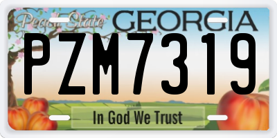 GA license plate PZM7319
