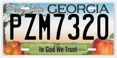 GA license plate PZM7320