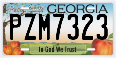 GA license plate PZM7323