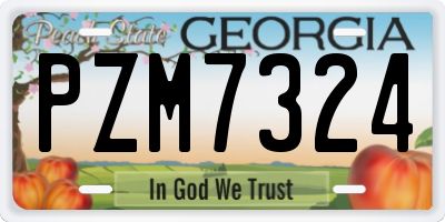 GA license plate PZM7324