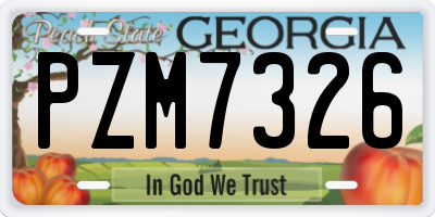 GA license plate PZM7326