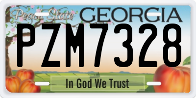 GA license plate PZM7328