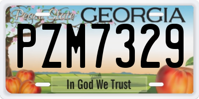 GA license plate PZM7329