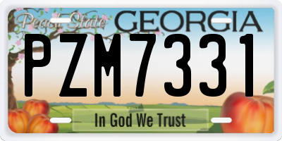 GA license plate PZM7331