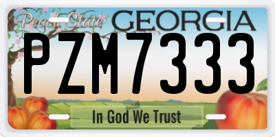 GA license plate PZM7333