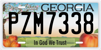 GA license plate PZM7338