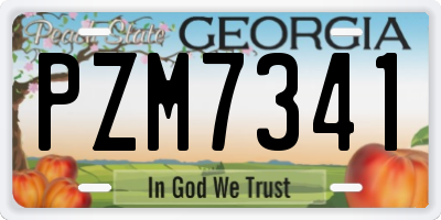 GA license plate PZM7341