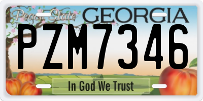 GA license plate PZM7346