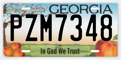 GA license plate PZM7348