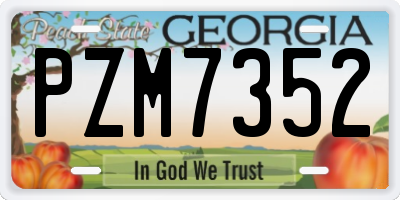 GA license plate PZM7352