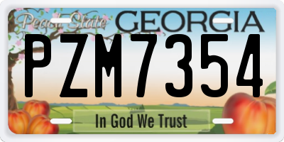 GA license plate PZM7354