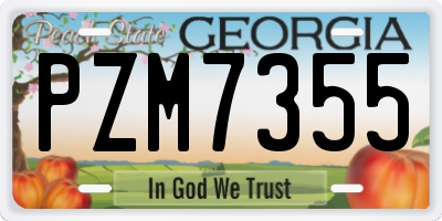 GA license plate PZM7355