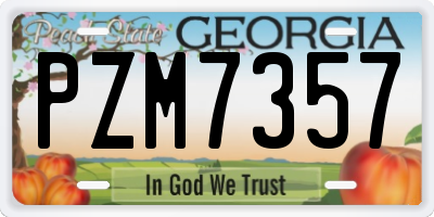 GA license plate PZM7357