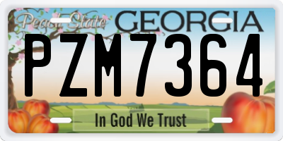 GA license plate PZM7364