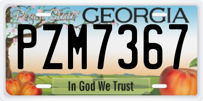 GA license plate PZM7367
