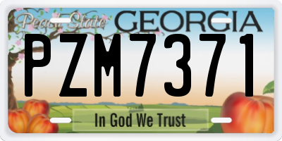 GA license plate PZM7371